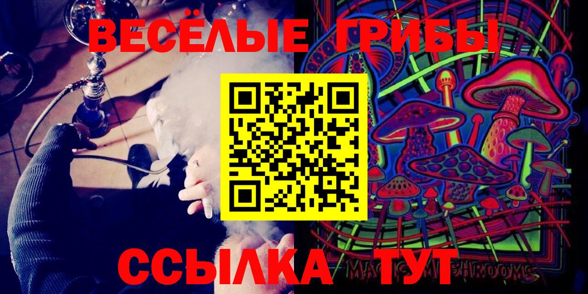 Псилоцибиновые грибы Cubensis Шадринск